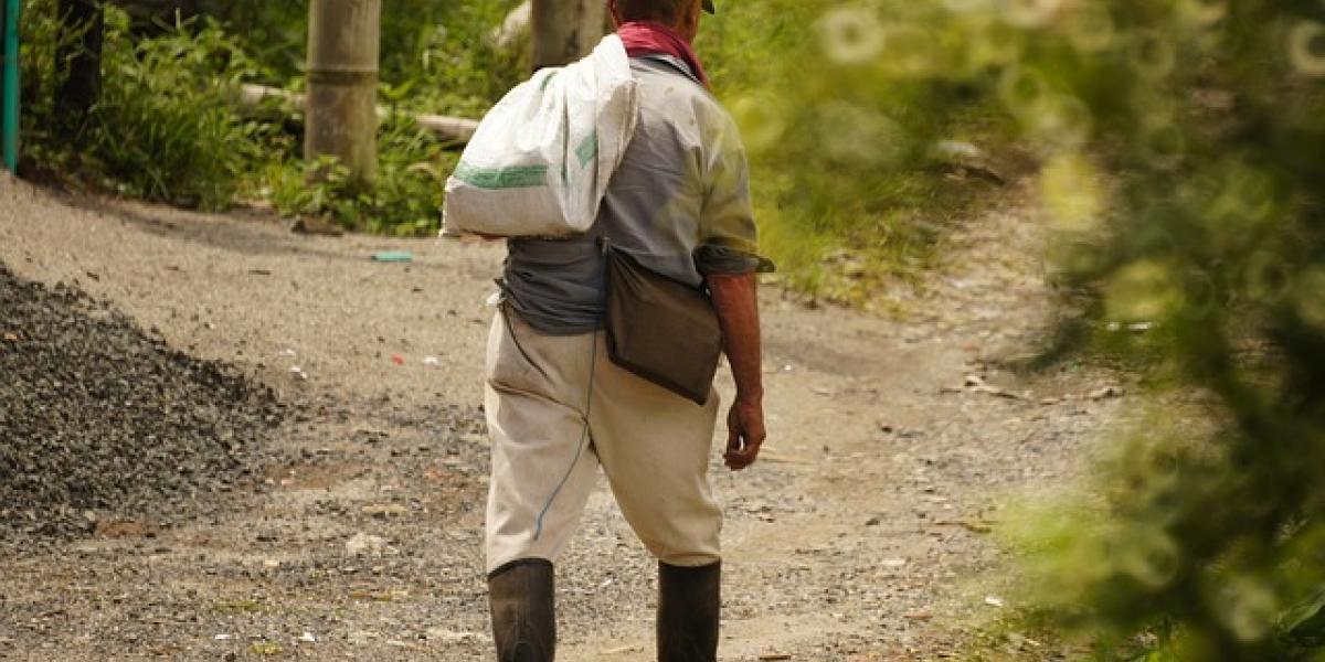 “La mitad de la población rural se encuentra en pobreza”: INEGI arranca el Censo Agropecuario 2022 