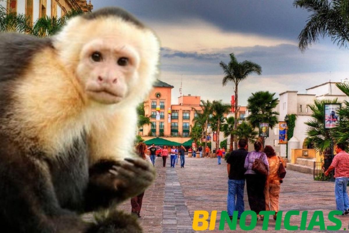 Otros dos casos de viruela del mono; ya son cinco en Aguascalientes