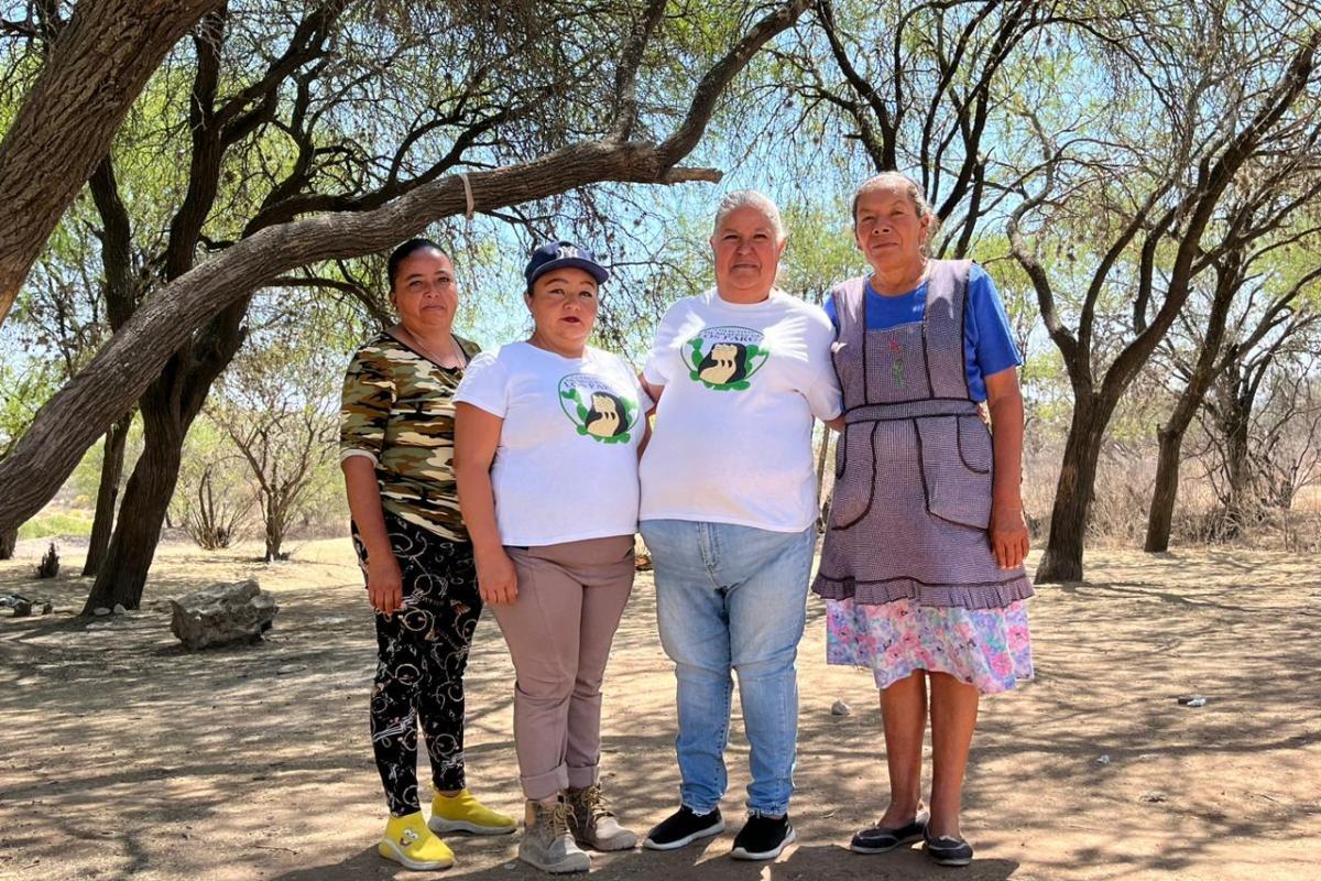 "Es nuestro pulmón y nuestra caja de agua": mujeres luchan por proteger al Bosque de Cobos