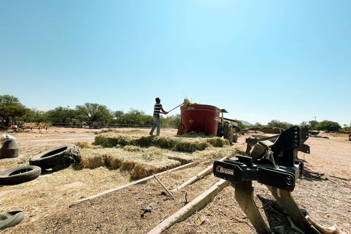 Crisis en el campo de Aguascalientes: así se vive la sequía 