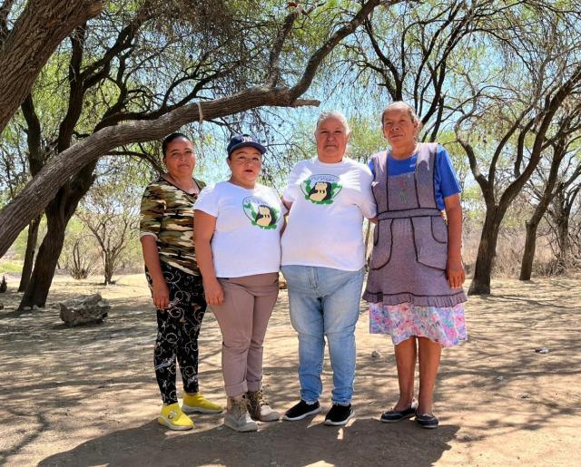 "Es nuestro pulmón y nuestra caja de agua": mujeres luchan por proteger al Bosque de Cobos