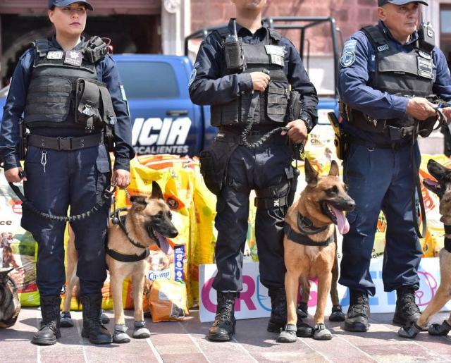 Diez perros se unirán a la Policía Estatal de Aguascalientes 
